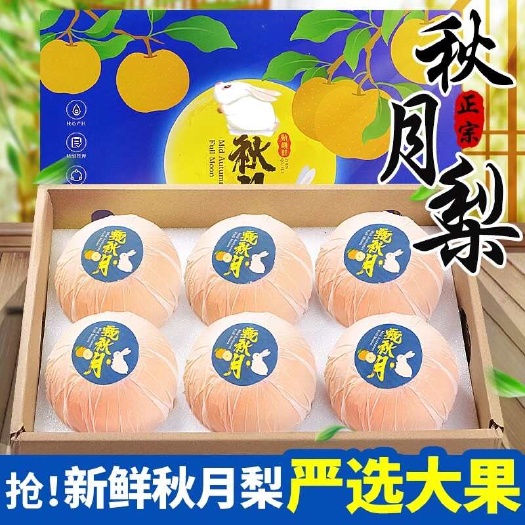 莱阳市山东秋月梨新鲜梨子当季现摘莱阳冰糖梨雪梨蜜梨整箱