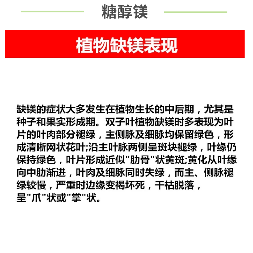 糖醇镁叶面肥螯合镁补镁中量元素果树蔬菜预防黄叶光合作用