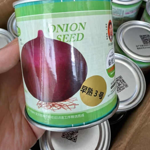 秦紅寶早熟3號(hào)洋蔥種子 紅皮橢圓洋蔥種子 抗病病重茬 冬性強(qiáng)