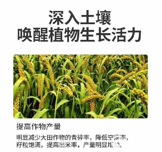 小麦水稻灌浆增产肥催熟早收快熟宝授粉快速粒粒饱满蔬菜果树通用