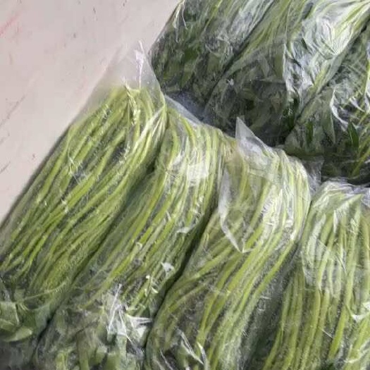 博白地理標(biāo)志產(chǎn)品博白空心菜現(xiàn)已大量上市 老板速定