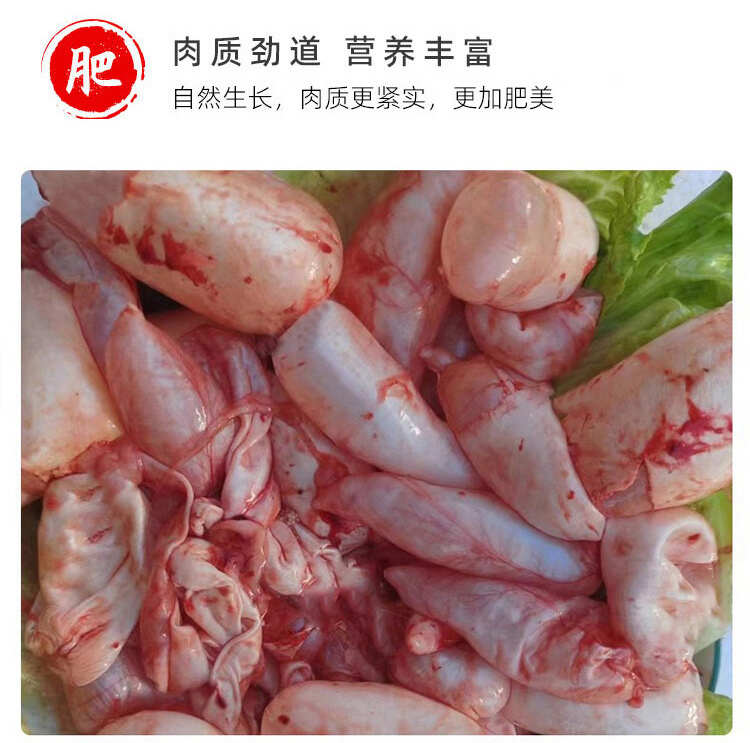 精品白鲢鱼泡常年有货供应餐饮酒店商用批发