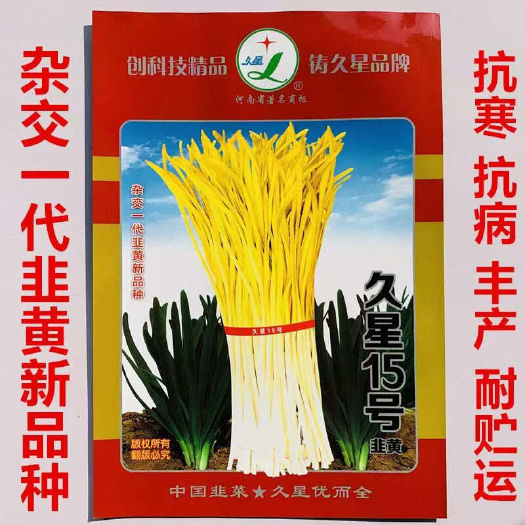 叶县久星15号韭黄种子 抗寒抗病 直立 叶色金黄 辛香味浓
