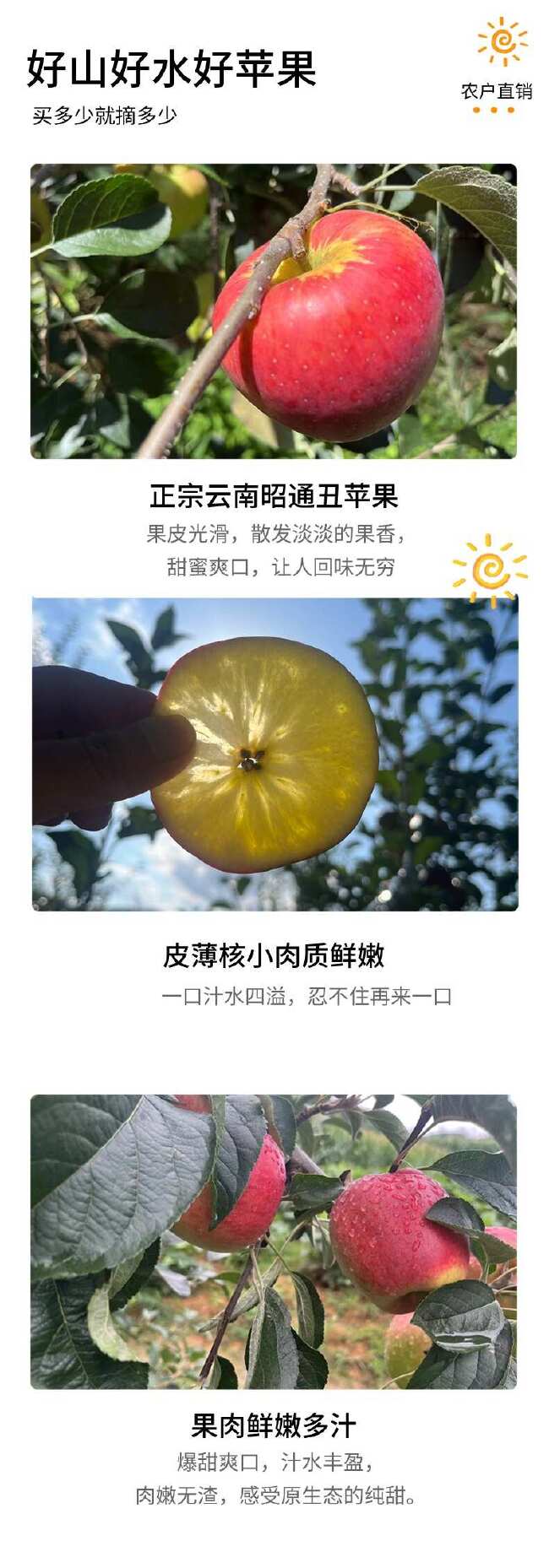 昭通丑苹果樱桃小苹果整箱5斤起批，农户自销