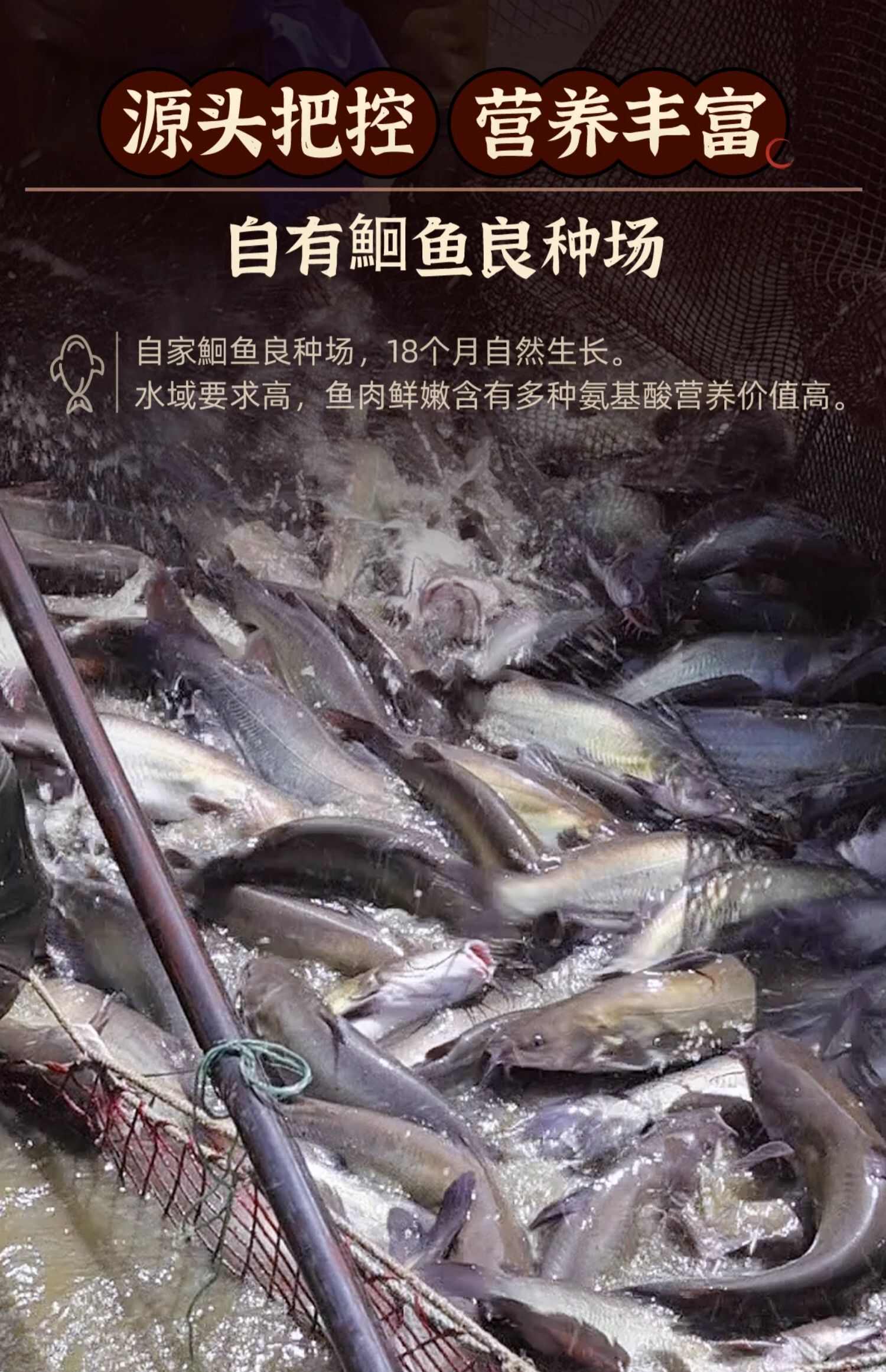 烤魚門店清江魚鮰魚油炸烤魚半成品快速出餐