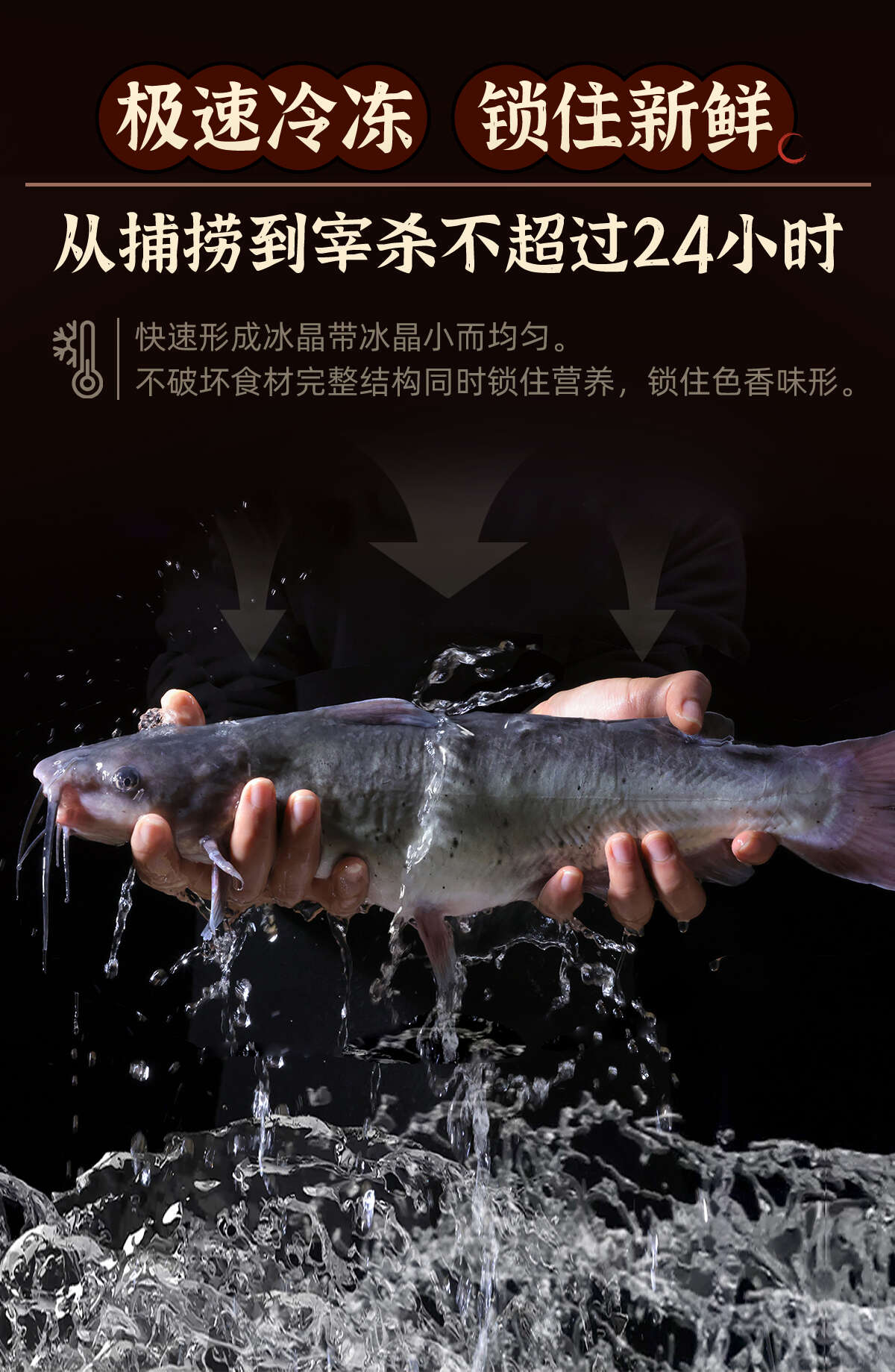 烤魚門店清江魚鮰魚油炸烤魚半成品快速出餐