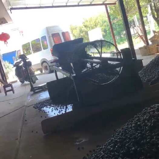 常德1.4筛子下面的石螺