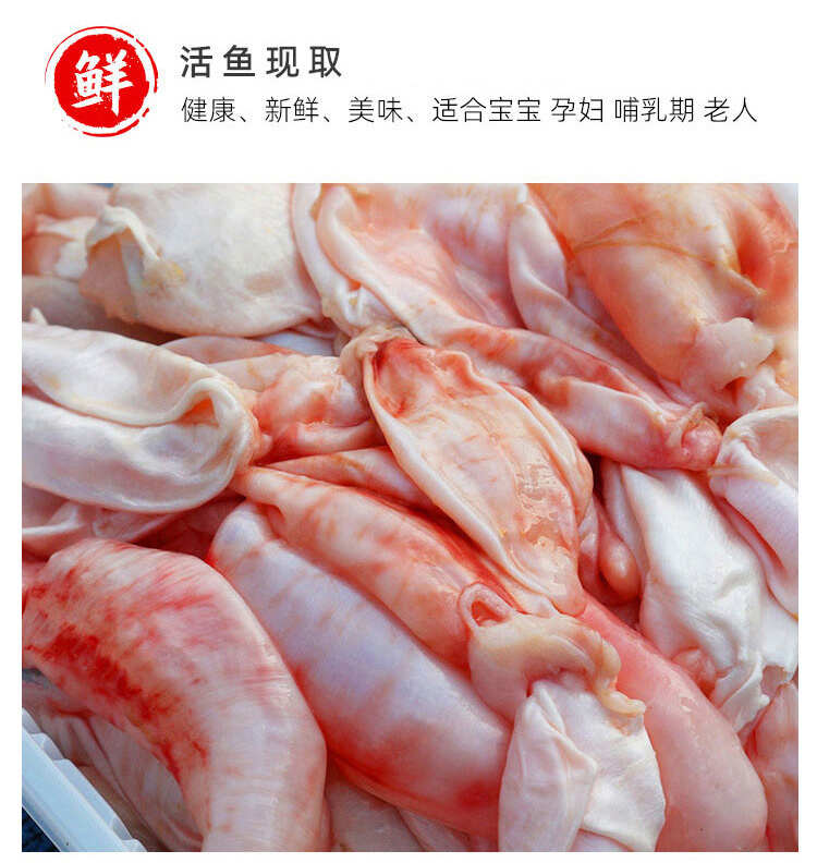 精品白鲢鱼泡常年有货供应餐饮酒店商用批发