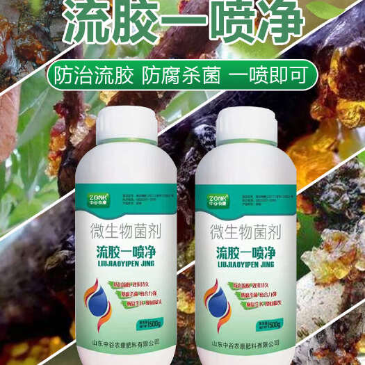 长沙流胶穿孔果园消刹灵桃树流胶病专用药油桃果树腐烂病流胶穿孔净