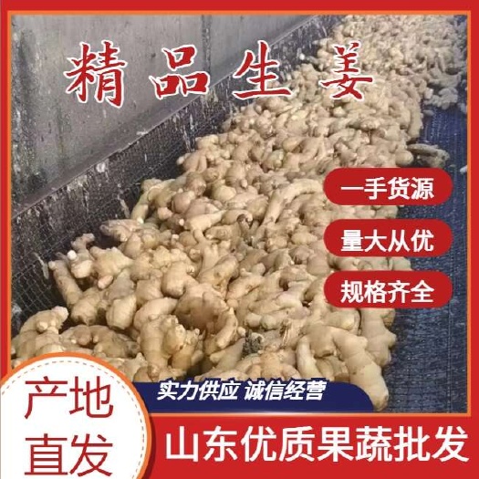 沂南县山东产地直销，新鲜大黄姜，新鲜发货，量大价优，姜种，欢迎咨询
