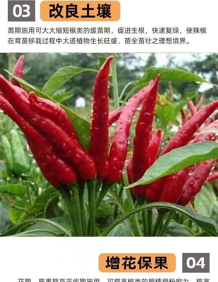 辣椒拉長拉直膨大素葉面肥辣椒三不落?；ū９霎a(chǎn)增收辣椒專用肥