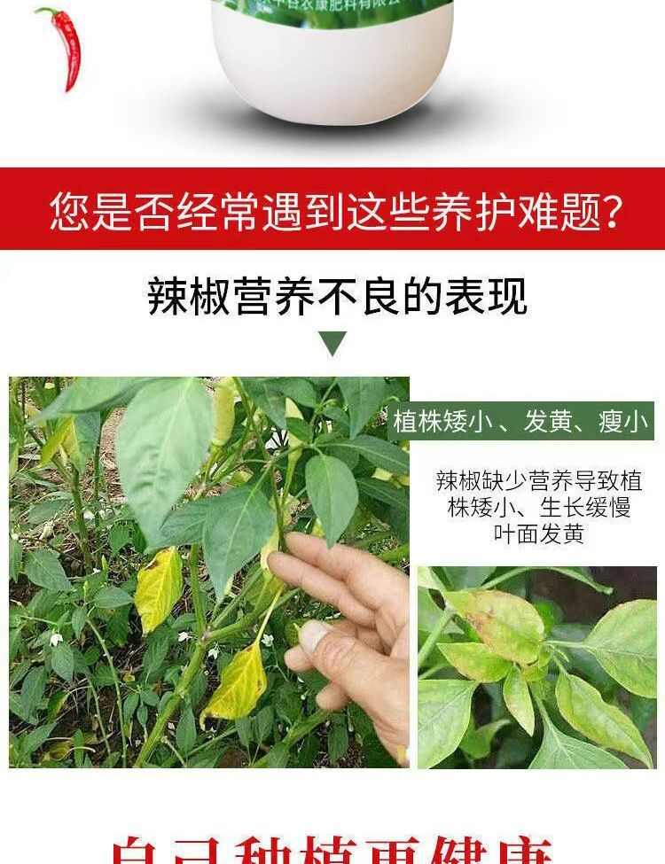 辣椒拉長拉直膨大素葉面肥辣椒三不落?；ū９霎a(chǎn)增收辣椒專用肥