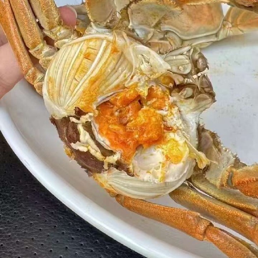兴化市大闸蟹六月黄兴化红膏鲜活产地直发一手货源