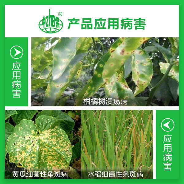 巴斯夫乾运30%噻唑锌 果树蔬菜柑橘溃疡病细菌性角斑病农药杀