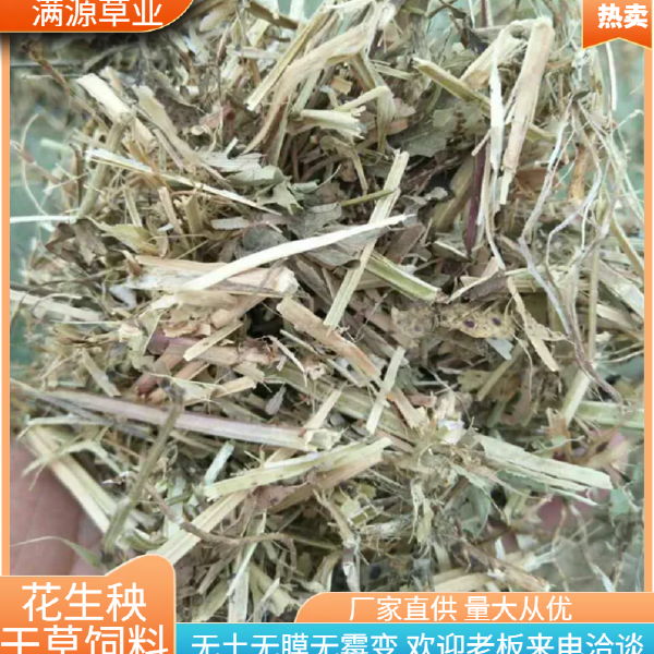 花生秧秸秆饲料现货  黄白绿草 无土无膜无霉保质