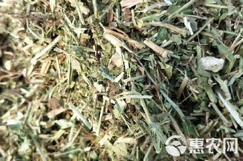 花生秧秸秆饲料现货  黄白绿草 无土无膜无霉保质