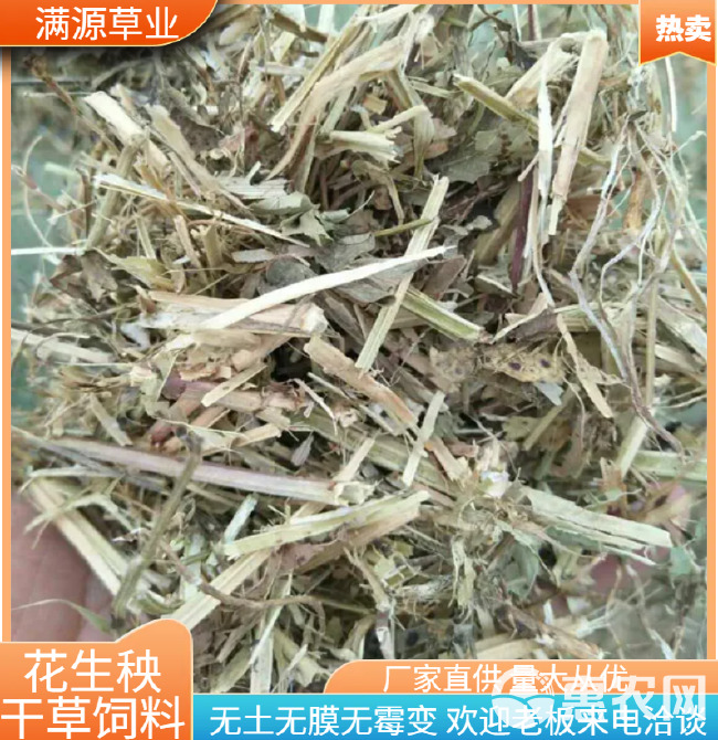 花生秧秸秆饲料现货  黄白绿草 无土无膜无霉保质