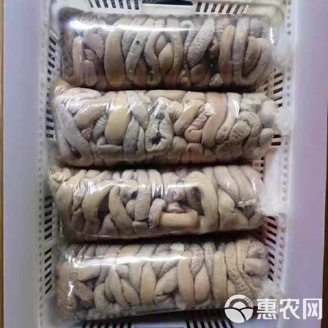 牛小肠 牛圆肠 中油肉厚金黄色，熟度高，出成率高