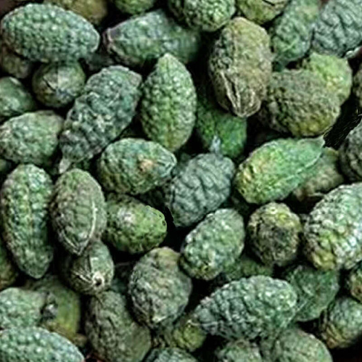 西瓜新疆吐鲁番特产散装头茬外用新货包邮批发