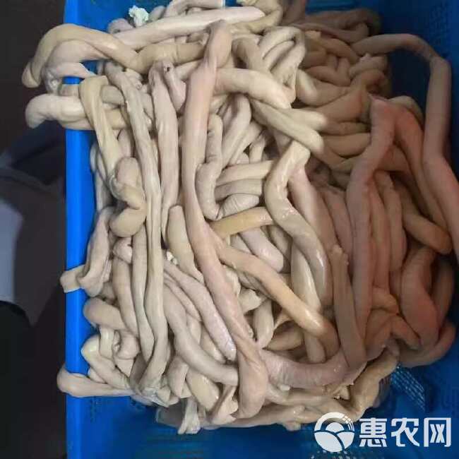 牛小肠 牛圆肠 中油肉厚金黄色，熟度高，出成率高