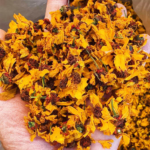 乌鲁木齐雪菊新疆特产菊花泡茶泡水料今年新货批发