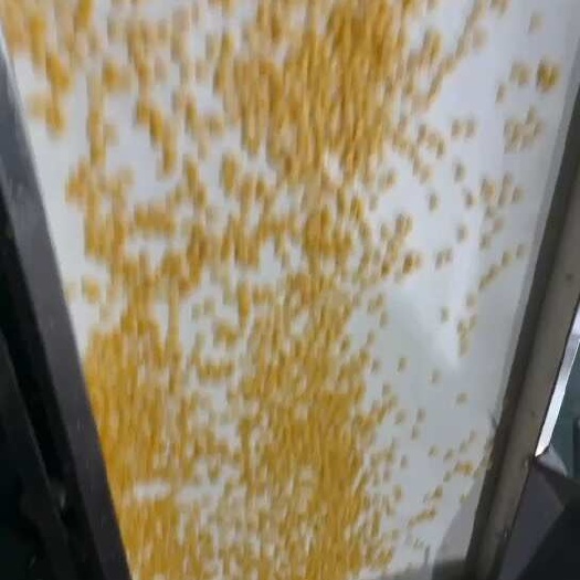 玉米