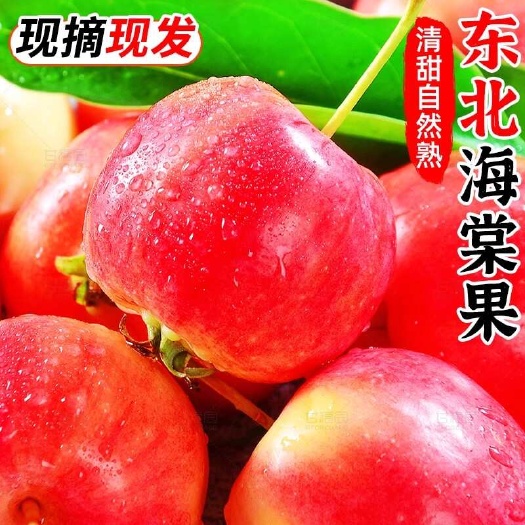 沈阳东北海棠果新鲜水果应季鸡心红果小沙果嘎啦特产迷你小苹果包邮
