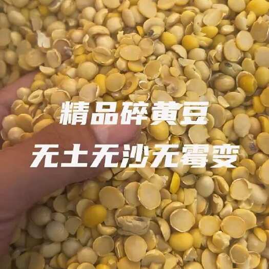 郓城县碎黄豆