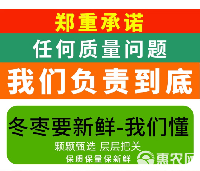 山东沾化冬枣新鲜大枣 鲜枣青枣甜枣子当季水果大批量批发