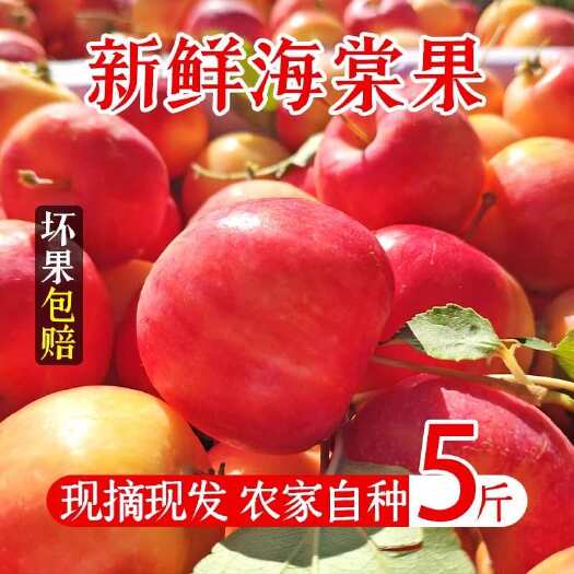 沈阳东北海棠果新鲜水果应季鸡心红果小沙果嘎啦特产迷你小苹果包邮