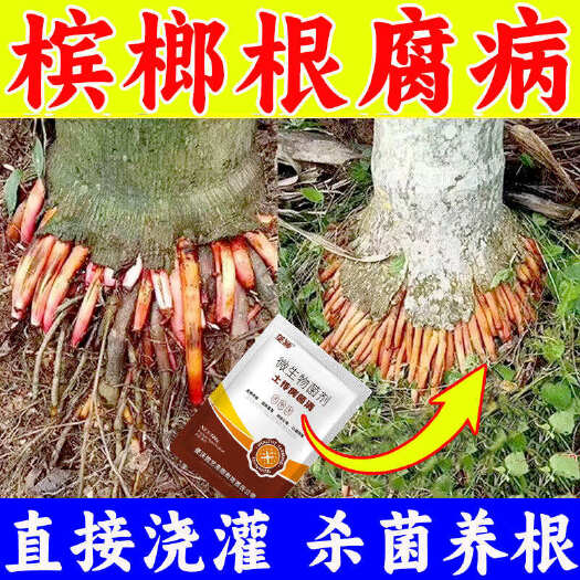 栾川县槟榔灌根药防治根腐病烂根脚腐病黄化病专用杀菌剂救根养根促生根
