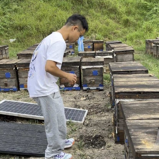 剑河县贵州土蜂蜜