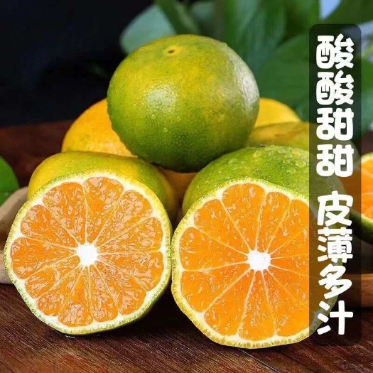 特早蜜桔 柑桔（大分4号），大量上市皮薄口感甘甜，量大优惠