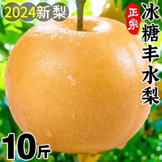莱阳市山东丰水梨新鲜梨子水果当季现摘黄花大翠冠酥雪梨整箱包邮