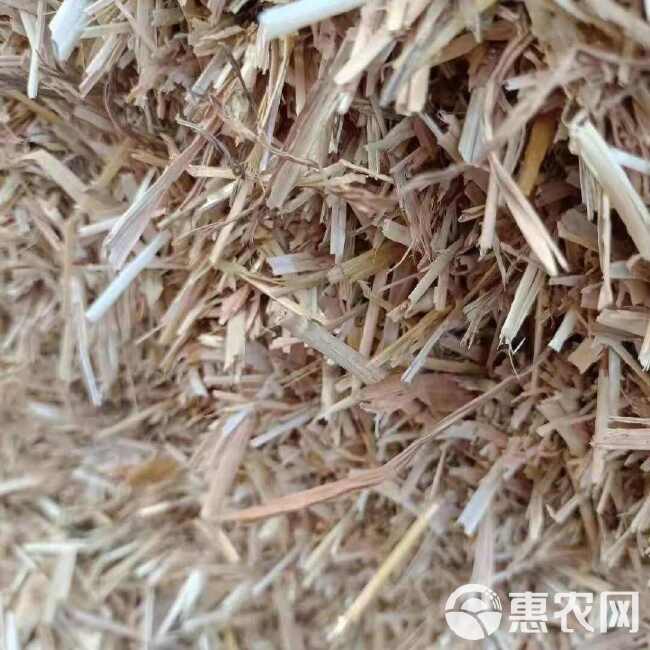 小麦秸秆过风选除尘牛羊驴专用干白净干草料