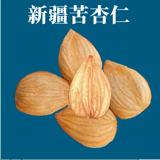 乌鲁木齐苦杏仁新疆去壳带皮坚果仁无加工原味做汤料包邮批发