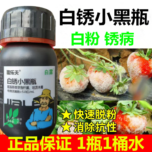 白粉病专用及时脱粉香瓜白粉药甜瓜白粉病正品草莓葡萄黄瓜等