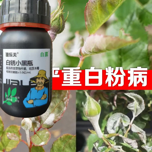 寿光市正品白粉病杀菌剂正牌真品葡萄草莓白粉药黄瓜白粉病小黑瓶生物菌