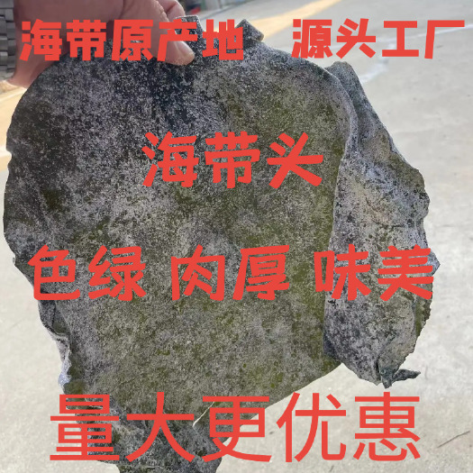 威海半干盐渍海带头 地摊赶集专用 厂家直发 品质保证