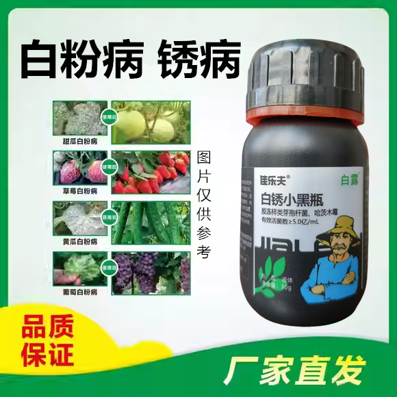 正品白粉病杀菌剂正牌真品葡萄草莓白粉药黄瓜白粉病小黑瓶生物菌