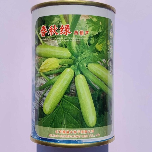 云南四川贵州越冬早春秋延冷凉地抗病高产油绿顺直西葫芦小瓜种子