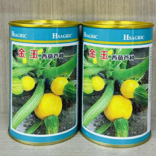 沭阳县金玉西葫芦种子早熟高产瓜型圆形葫芦瓜黄皮油亮春秋播青瓜瓠瓜籽