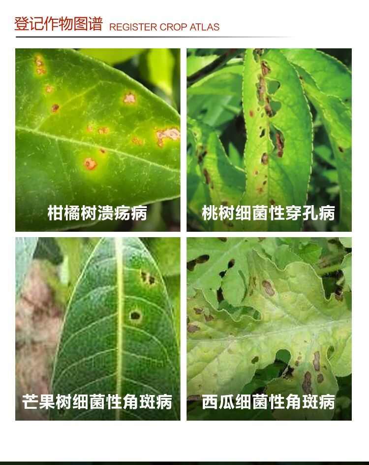 兴农永福45%春雷霉素喹啉铜柑橘溃疡细菌性角斑病穿孔病杀