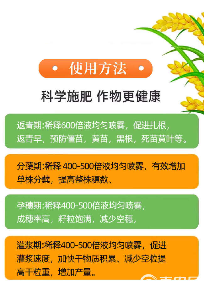 稻黄金水稻专用叶面肥增产增收促分蘖灌浆肥抗倒伏厂家直发