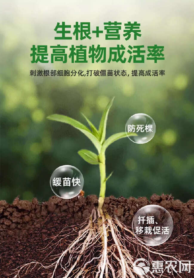 拉长拉直素辣椒茄子黄瓜豆角丝瓜苦瓜防落防畸形拉长素增粗叶面肥