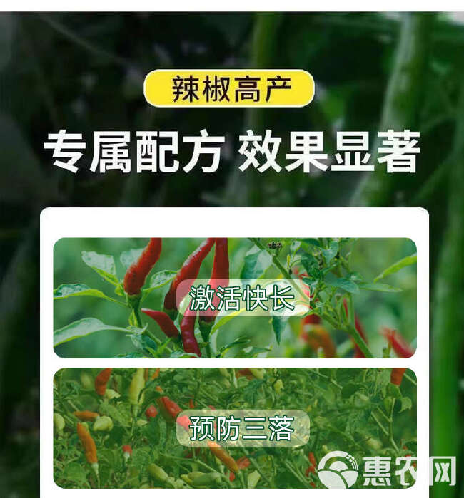 拉长拉直素辣椒茄子黄瓜豆角丝瓜苦瓜防落防畸形拉长素增粗叶面肥