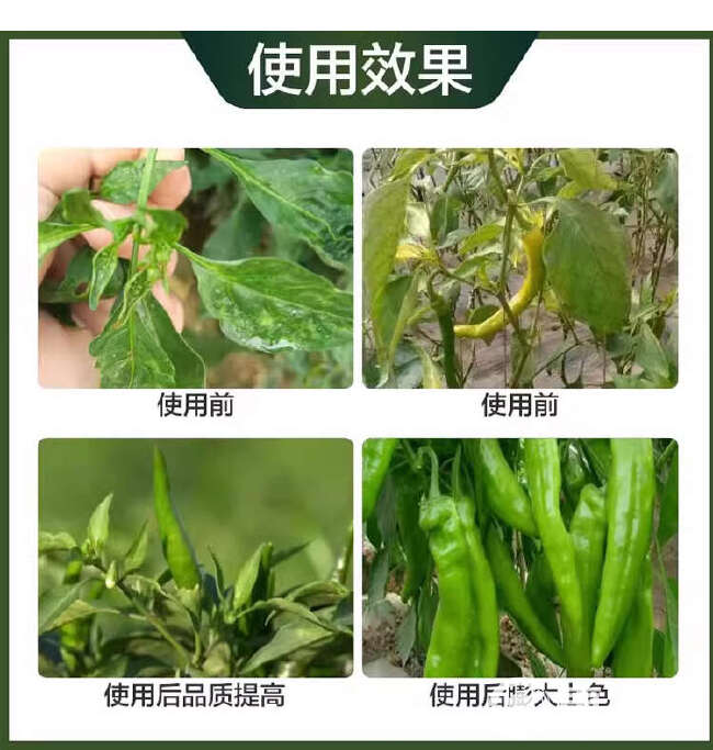 拉长拉直素辣椒茄子黄瓜豆角丝瓜苦瓜防落防畸形拉长素增粗叶面肥