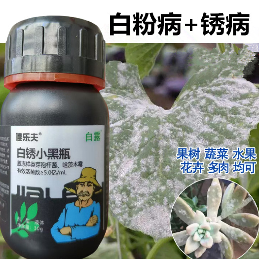 寿光市白粉病锈病菌剂正品保证预防黄瓜草莓花卉中药材白粉病锈病