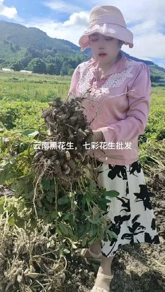 带壳花生  缅甸七彩花生 云南七彩花生 黑花生 可做一件代发