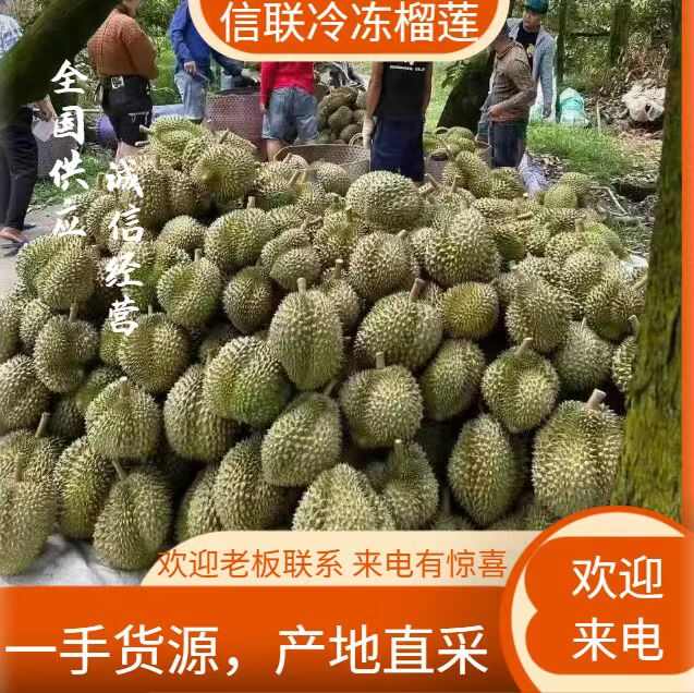 泰国榴莲新到冷冻干尧A级现货全国批发支持视频看货